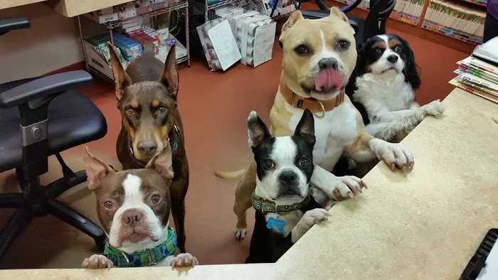 Cedar Brook Animal Hospital Picture 7