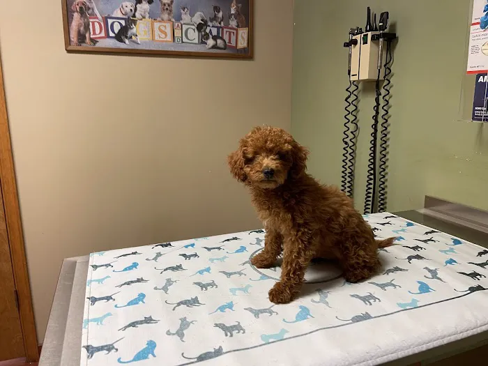 Cedar Brook Animal Hospital Picture 2
