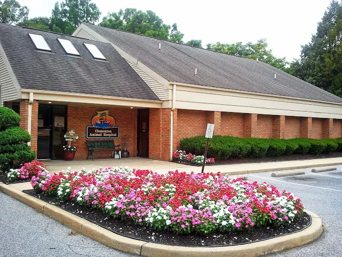 Clementon Animal Hospital Picture 10