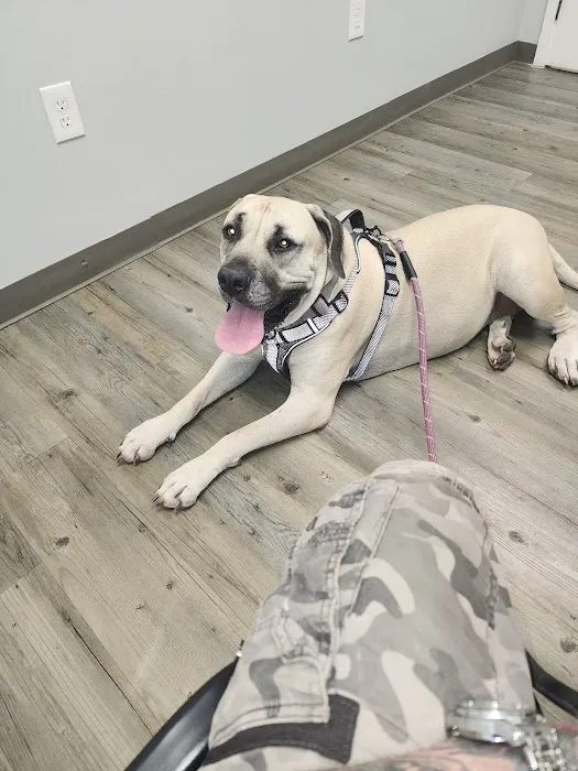 Clementon Animal Hospital Picture 6