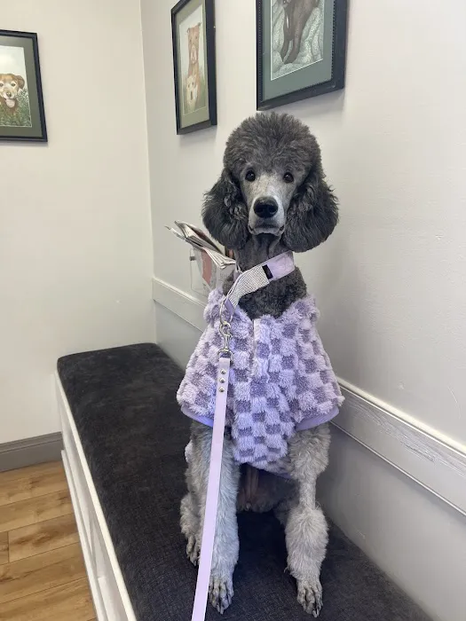 Neabore Veterinary Clinic Picture 7