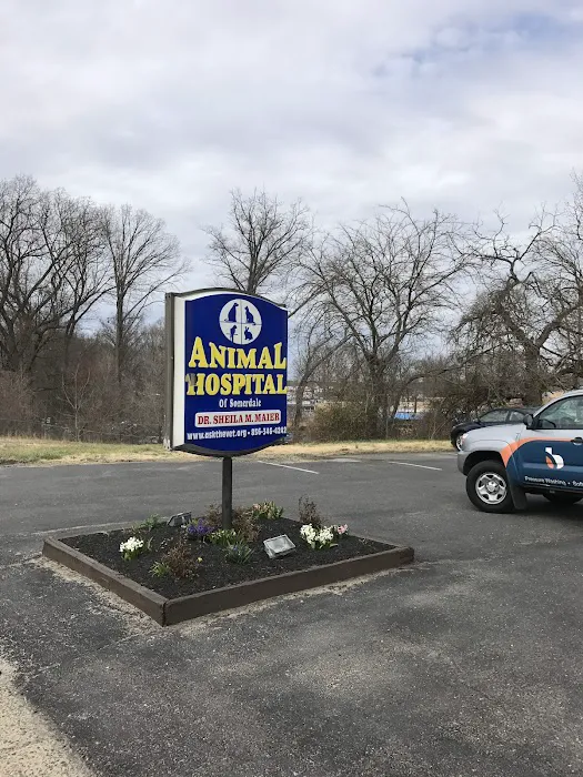 Animal Hospital of Somerdale Picture 2