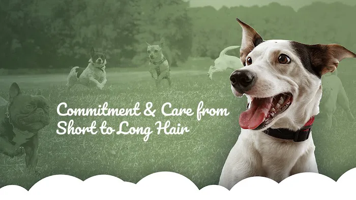 Fort Washington Veterinary Hospital Picture 10