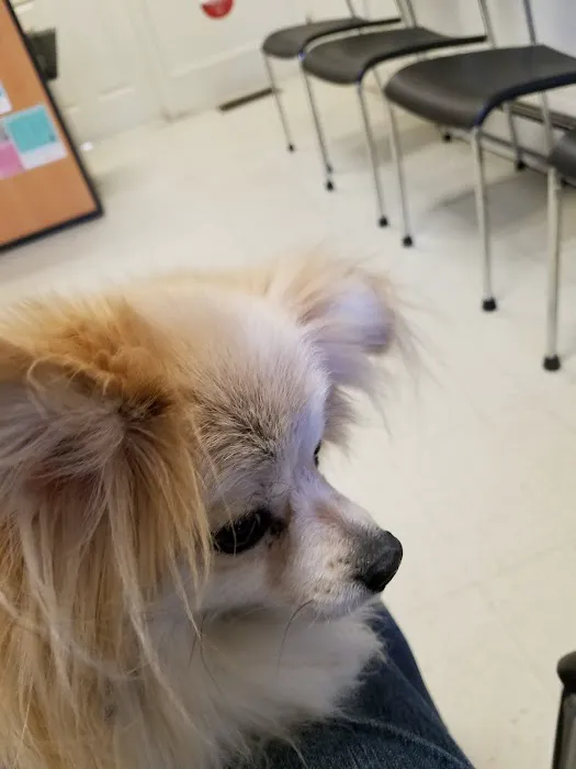 Madden Animal Hospital Picture 10