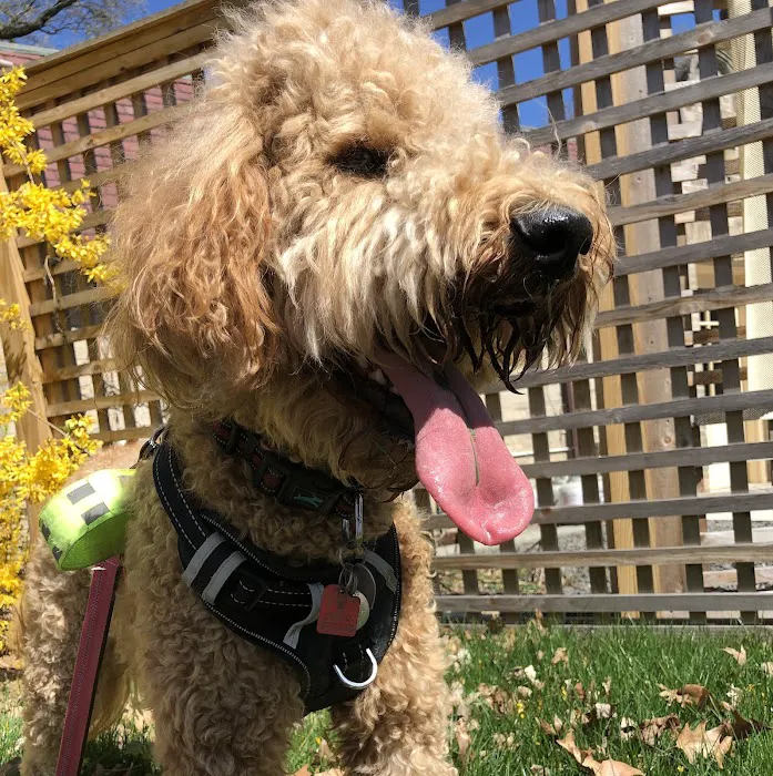 Madden Animal Hospital Picture 8