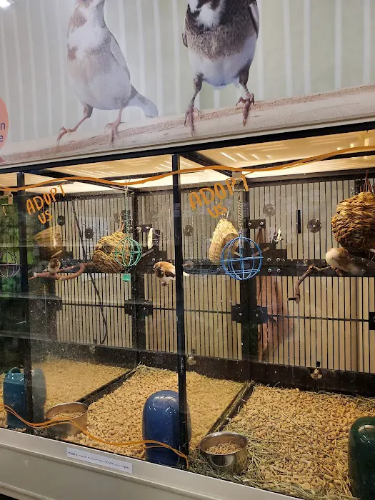 Banfield Pet Hospital Picture 9