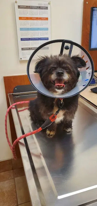 Banfield Pet Hospital Picture 1