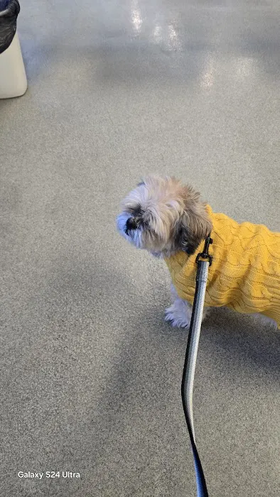 Montgomery Animal Hospital Picture 6