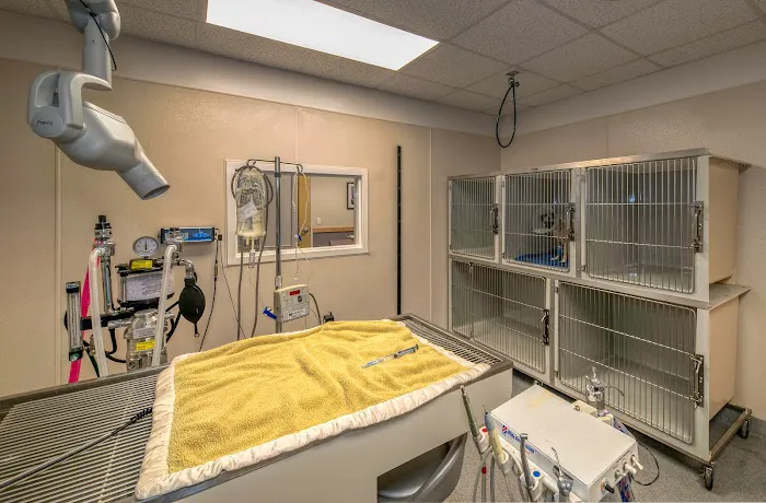 Montgomery Animal Hospital Picture 1