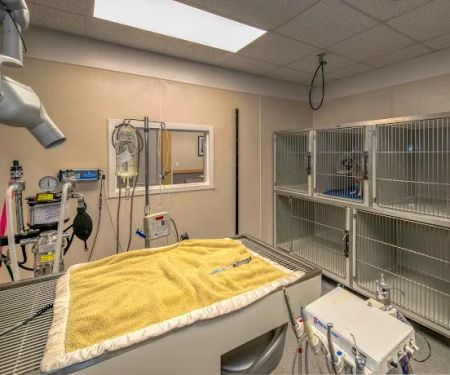 Montgomery Animal Hospital