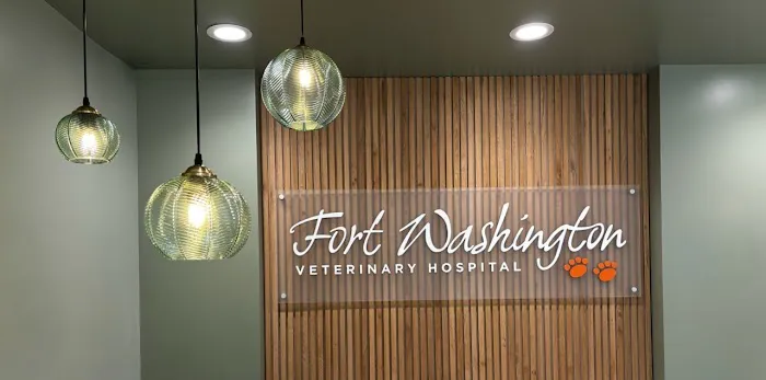 Fort Washington Veterinary Hospital at Flourtown Picture 8