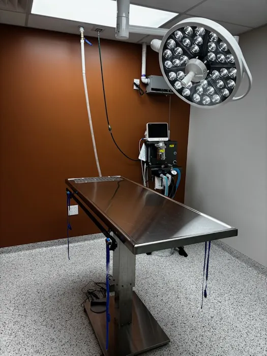 Fort Washington Veterinary Hospital at Flourtown Picture 9
