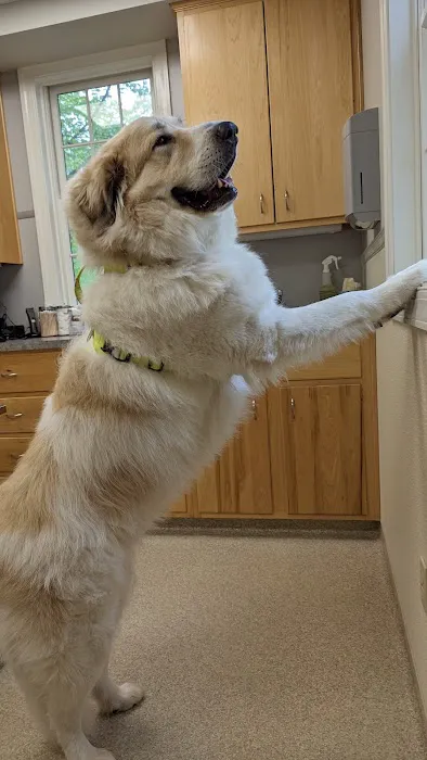 Patt Veterinary Hospital Picture 5