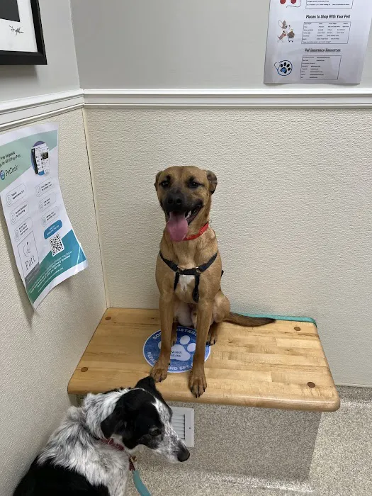 Patt Veterinary Hospital Picture 9