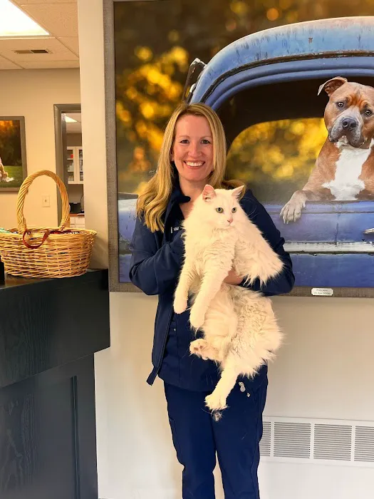MainStreetVet.net Picture 6