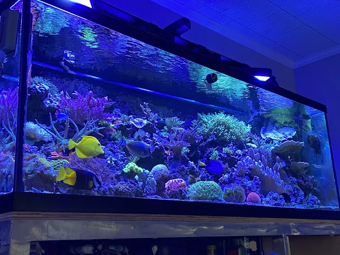 Just Fish LLC Picture 1
