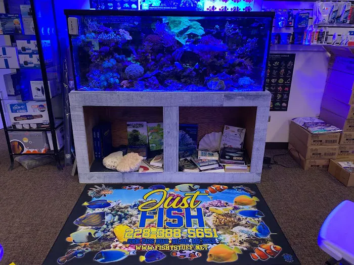 Just Fish LLC Picture 10