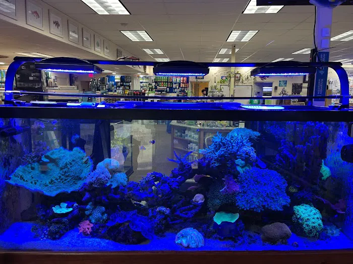 Just Fish LLC Picture 9