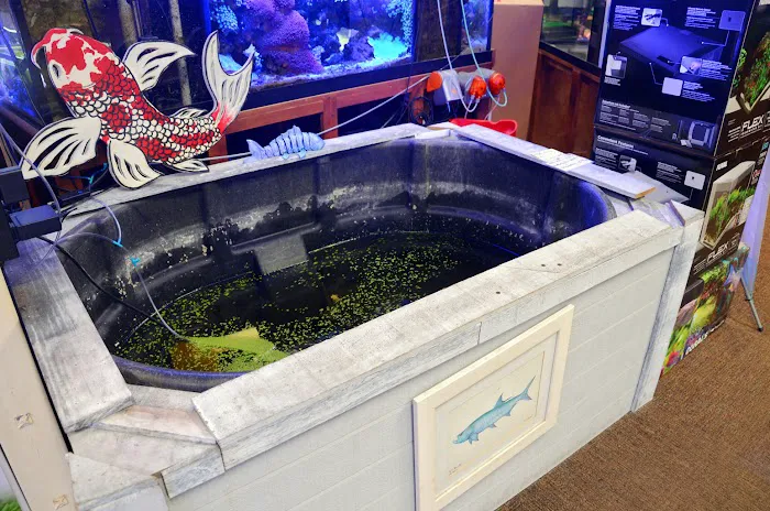 Just Fish LLC Picture 3