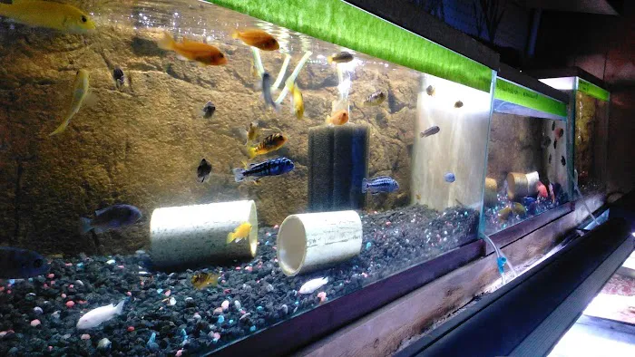 Just Fish LLC Picture 4