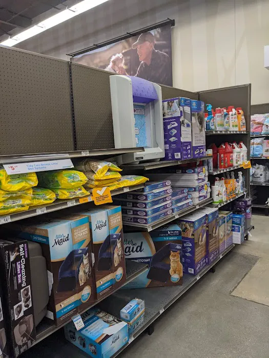 Petco Picture 4