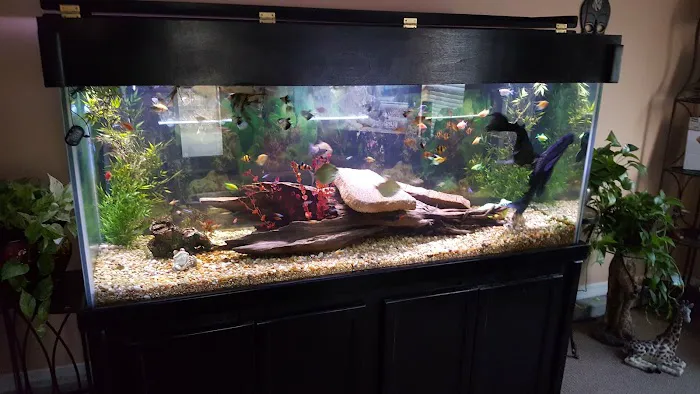 Crystal Reef Aquariums Picture 9