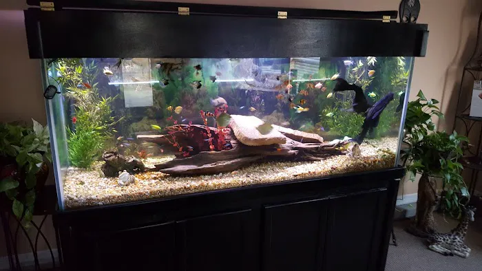 Crystal Reef Aquariums Picture 7