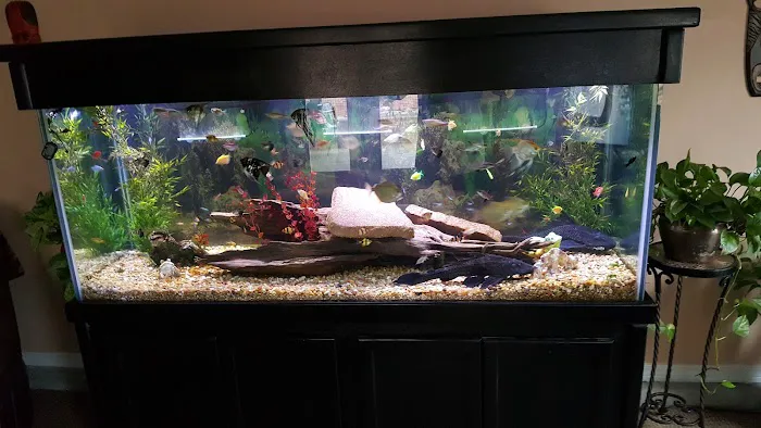 Crystal Reef Aquariums Picture 3