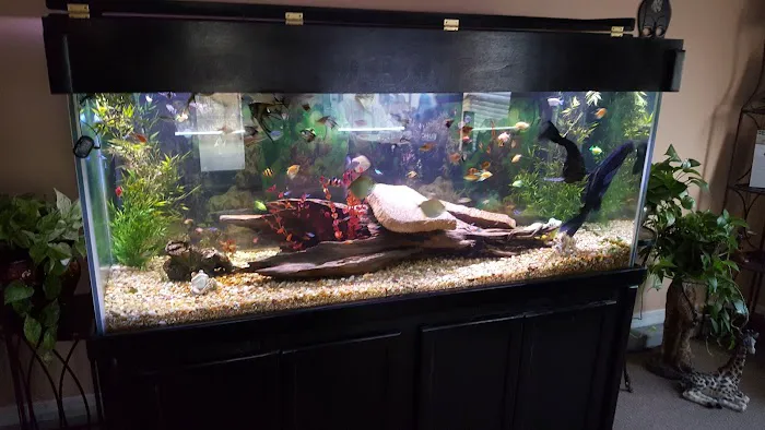 Crystal Reef Aquariums Picture 5
