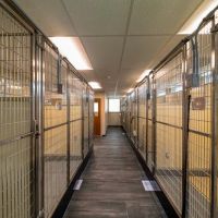 Gilbertsville Veterinary Hospital ico