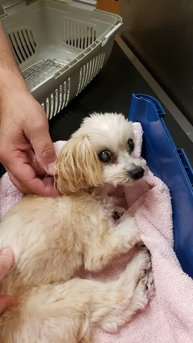 Gilbertsville Veterinary Hospital Picture 4