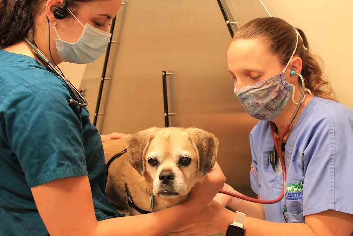 Gilbertsville Veterinary Hospital Picture 6