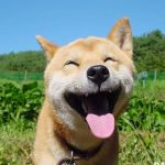 happyyyco