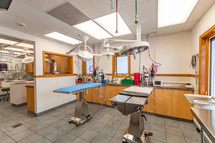 Hamilton Animal Care Picture 4