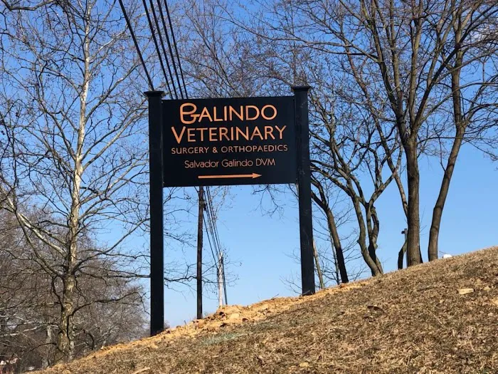 Galindo VSO Picture 10