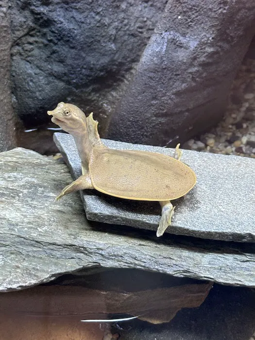 Poseidon's Pets of Picayune Picture 3