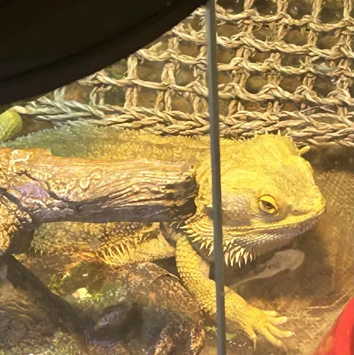 Poseidon's Pets of Picayune Picture 8