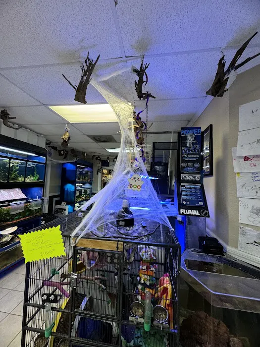 Poseidon's Pets of Picayune Picture 5
