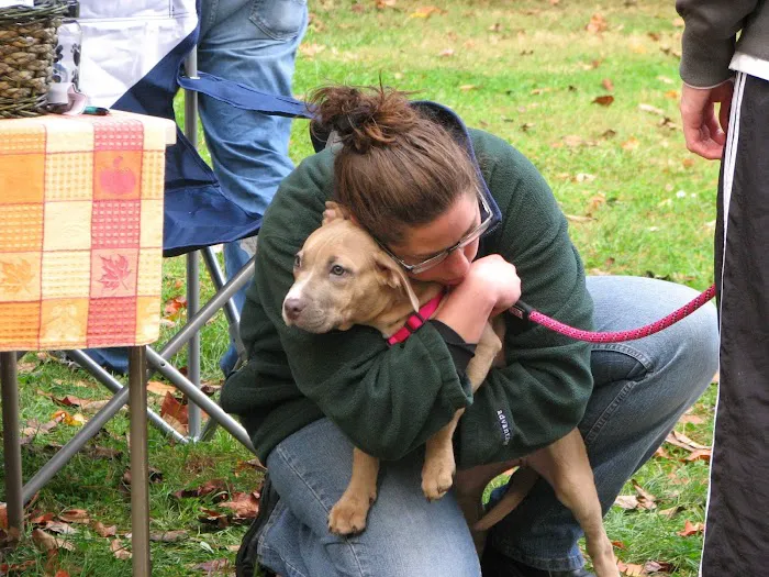 Schwenksville Veterinary Hospital Picture 10