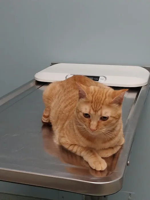 Schwenksville Veterinary Hospital Picture 2