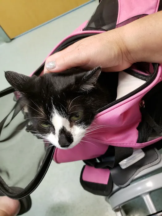 Schwenksville Veterinary Hospital Picture 4