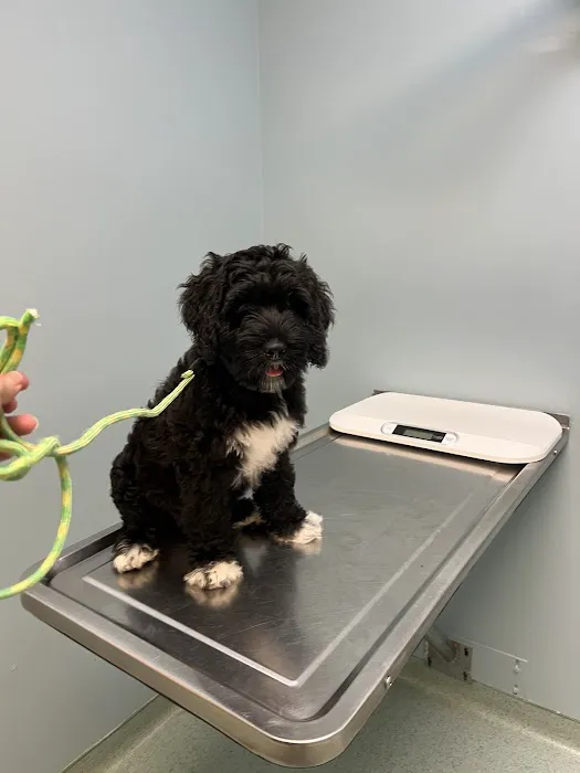 Schwenksville Veterinary Hospital Picture 5