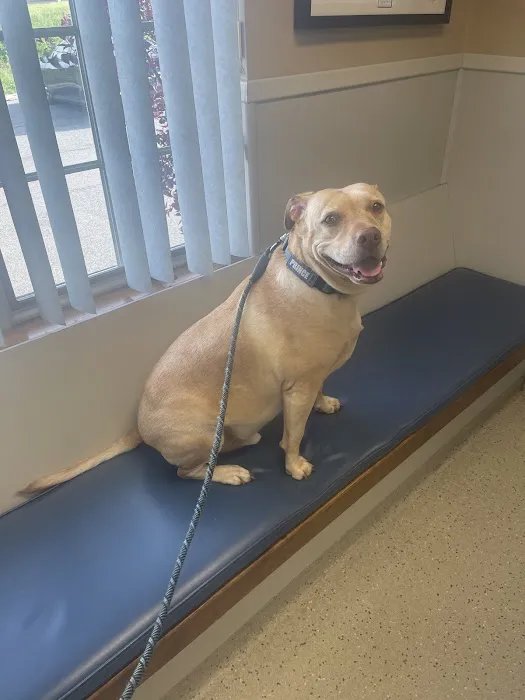 Lehigh Valley Animal Hospital Picture 9