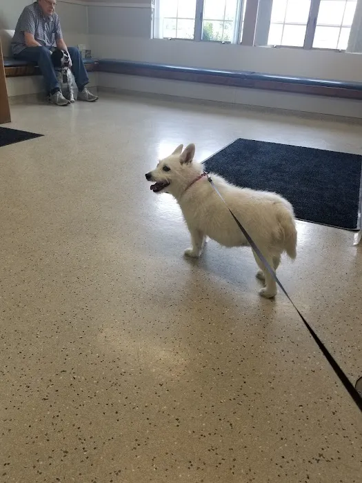Lehigh Valley Animal Hospital Picture 8
