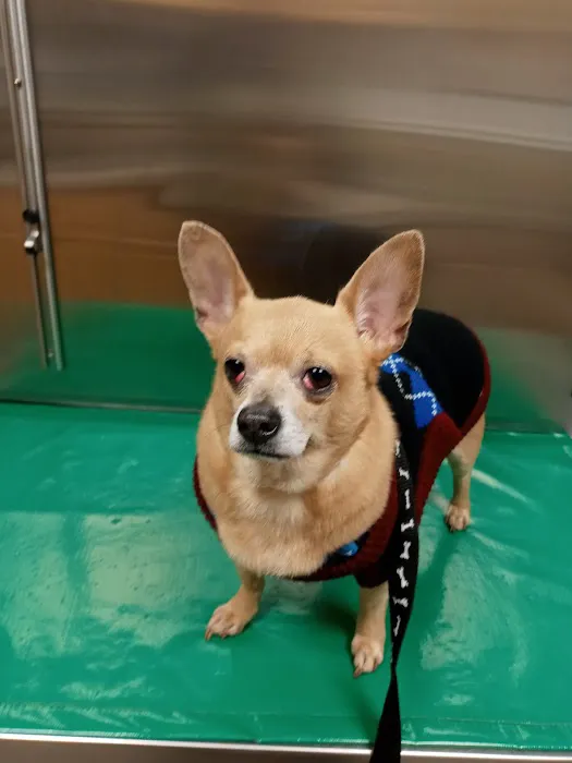Lehigh Valley Animal Hospital Picture 5