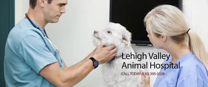 Lehigh Valley Animal Hospital Picture 10