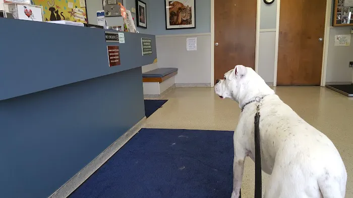 Lehigh Valley Animal Hospital Picture 2