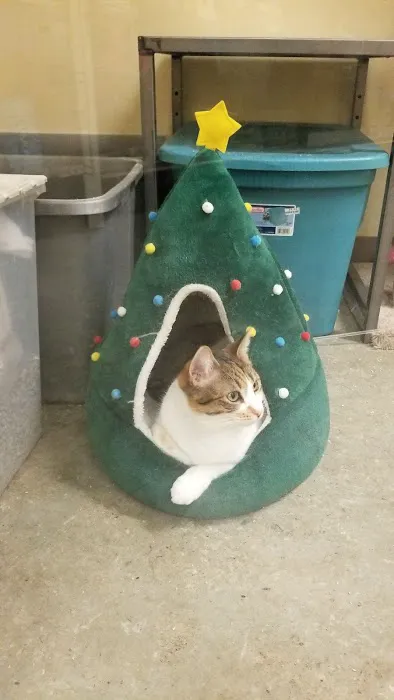 Petco Picture 2