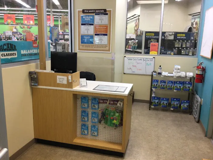 Petco Picture 3