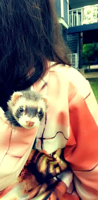 Petco Picture 6